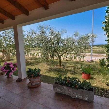 Apartament Angela Novigrad  Zewnętrze zdjęcie