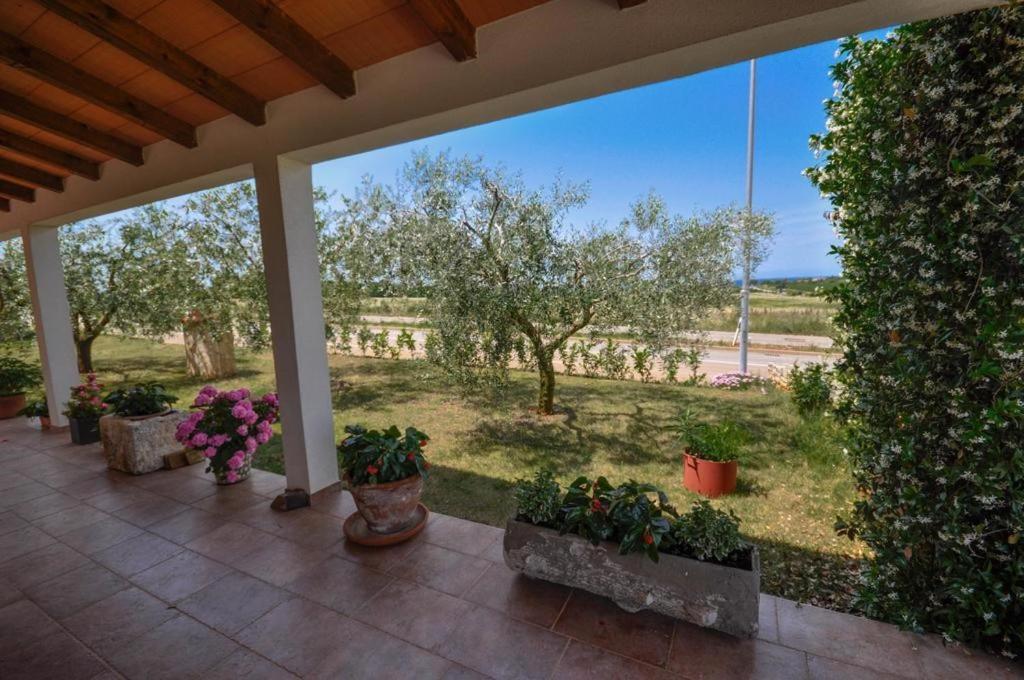 Apartament Angela Novigrad  Zewnętrze zdjęcie