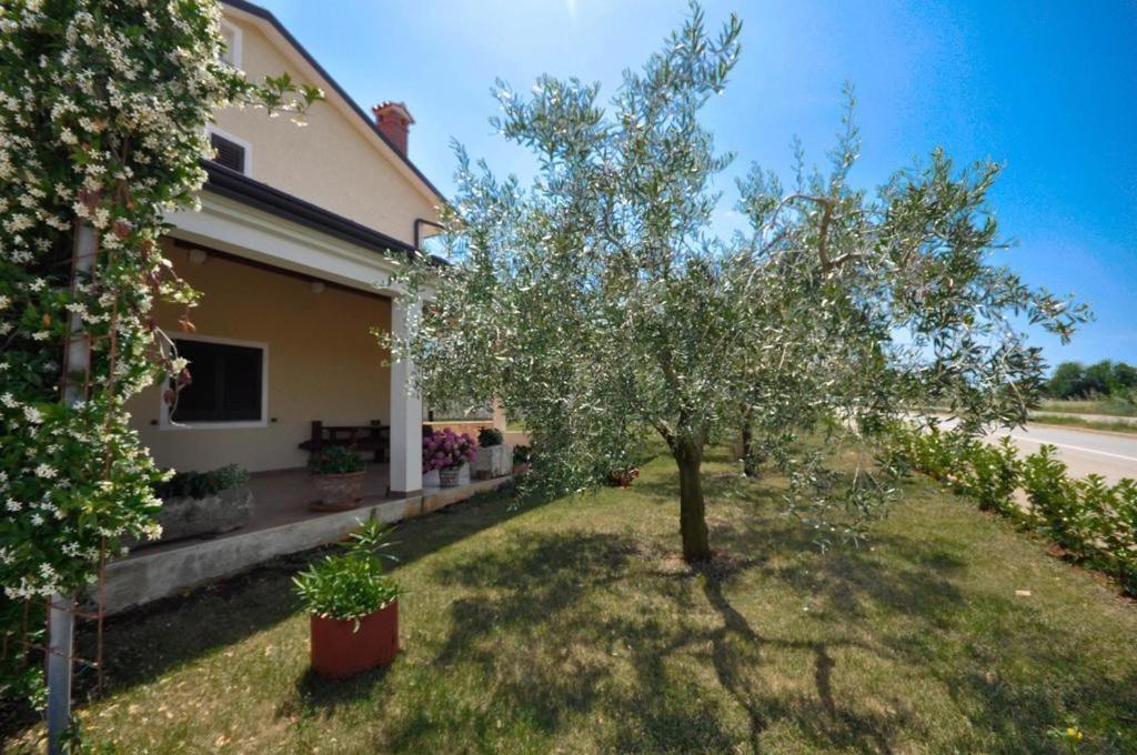 Apartament Angela Novigrad  Zewnętrze zdjęcie